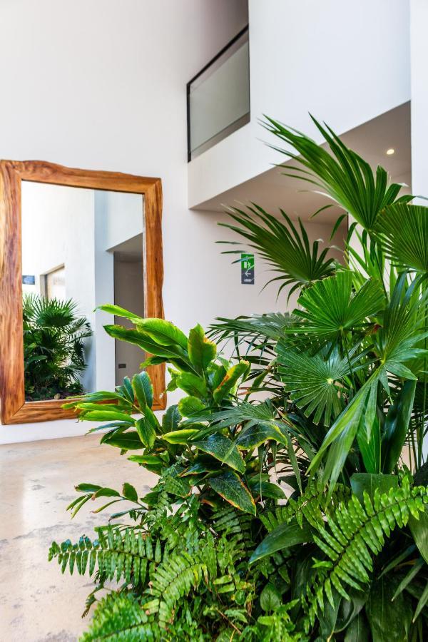 Big Studio At Kaab By The Beach With Roof Top Pool, Sauna And Jacuzzi Near Paseo Del Carmen Mall Playa del Carmen Esterno foto